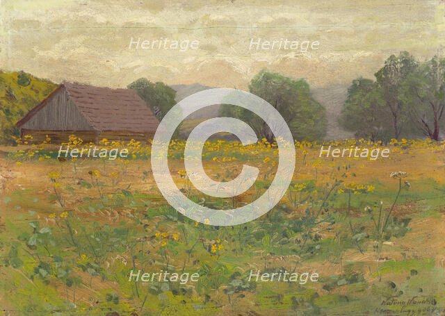 In the Meadow, 1906. Creator: Ferdinand Katona.