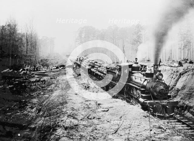 Logging railroad, Keystone Lumber Company, 1901 or 1902. Creator: Unknown.