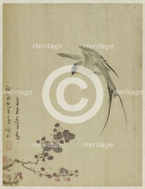 Album, 1661. Creator: Bin Xie.