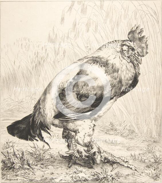 The Old Cock, 1882. Creator: Felix Bracquemond.