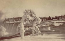 Frosted tree Luna Island. Creator: Unknown.