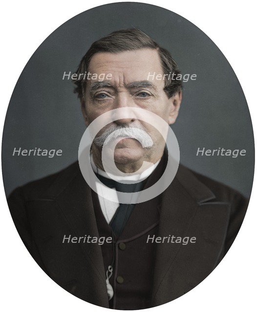 Lord Napier of Magdala, 1878. Artist: Lock & Whitfield.