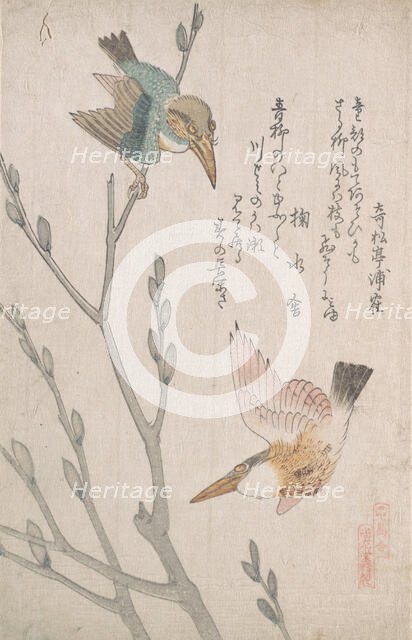 Kingfishers and Pussy-willow, 19th century. Creator: Kubo Shunman.
