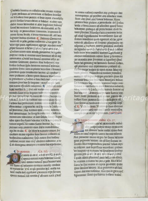 Folio Twelve from Burchard of Sion's De locis ac mirabilibus mundi, or an Illuminated G..., c. 1460. Creator: Burchard of Mount Sion.