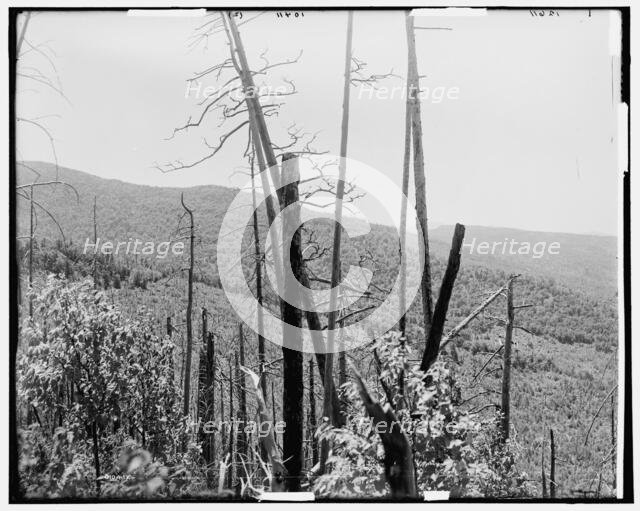 Zealand Valley from Mt. Echo, White Mountains, c1900. Creator: Unknown.