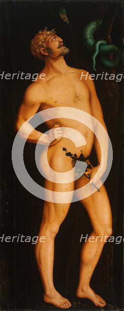 Adam. Artist: Baldung, Hans (1484-1545)