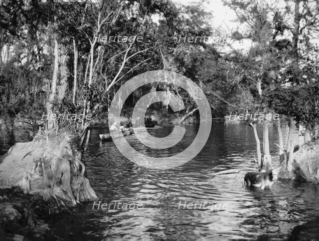Ferry at Puente Real, between 1880 and 1897. Creator: William H. Jackson.