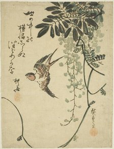 Swallow and wisteria, n.d. Creator: Ando Hiroshige.