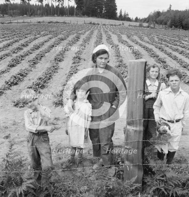 The Arnold children and mother on their newly fenced..., Michigan Hill, Thurston County, 1939. Creator: Dorothea Lange.