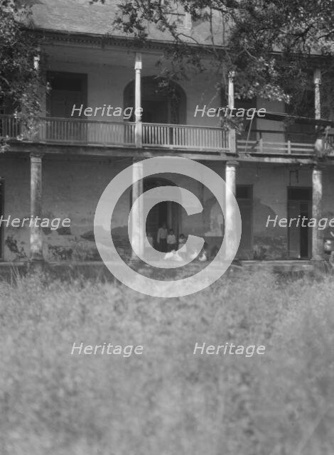 Sarpy plantation below the city of New Orleans, between 1920 and 1926. Creator: Arnold Genthe.