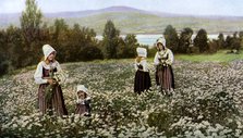 Picking flowers in a meadow near Leksand, Sweden, c1923. Artist: Unknown