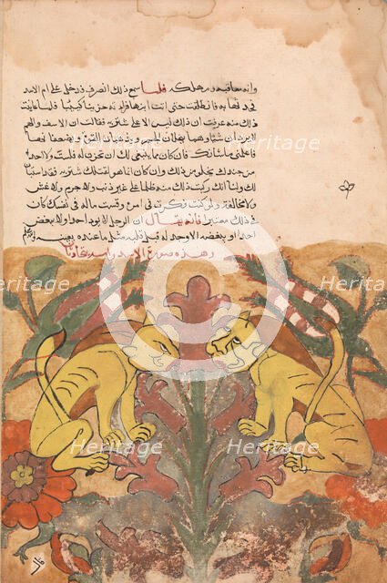 Folio from a Kalila wa Dimna, 18th century. Creator: Unknown.