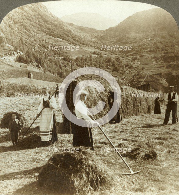 'A farmer's family making hay in a sunny field between the mountains, Roldal, Norway', c1905. Creator: Unknown.