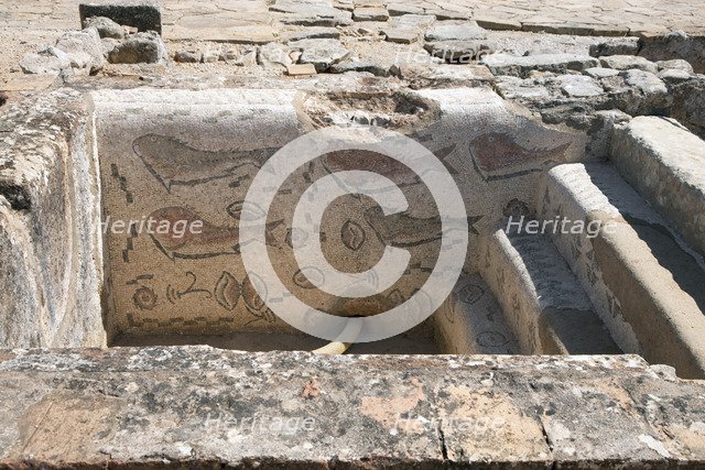 A frigidarium with fish mosaics in the public baths of Milreu, Portugal, 2009. Artist: Samuel Magal