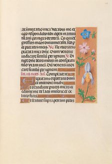 Hours of Queen Isabella the Catholic, Queen of Spain: Fol. 239r, c. 1500. Creator: Master of the First Prayerbook of Maximillian (Flemish, c. 1444-1519); Associates, and.