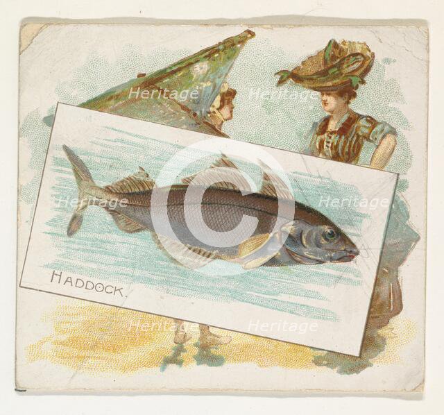 Haddock, from Fish from American Waters series (N39) for Allen & Ginter Cigarettes, 1889. Creator: Allen & Ginter.