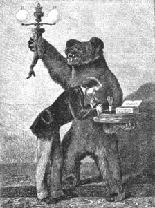 'The Bear Trophy at Marlborough House; the Bear was shot in Russia by H.R.H. The Prince..., 1891. Creator: Unknown.