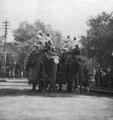 A Punjabi princess riding an elephant in a procession, Delhi, India, 1900s.Artist: H Hands & Son