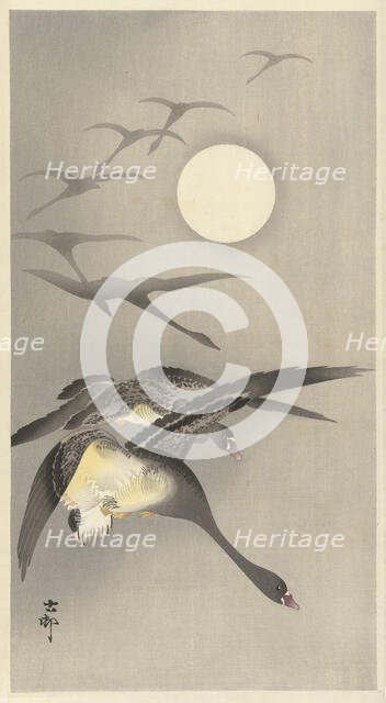 Geese at full moon. Creator: Ohara, Koson (1877-1945).
