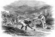 Panning for gold during the Californian Gold Rush of 1849. Artist: Unknown