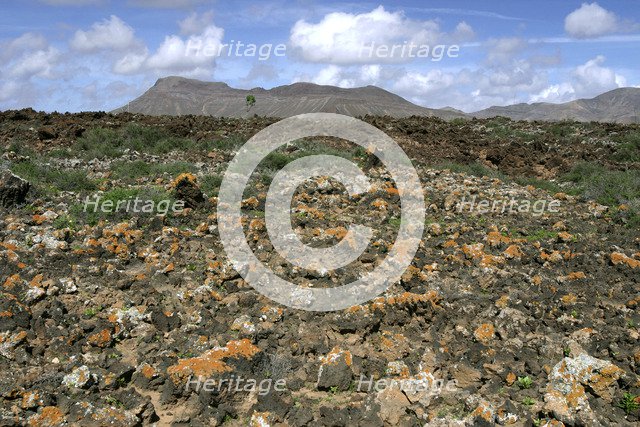 Volcanic landscape, Malpais Grande, Fuerteventura, Canary Islands.