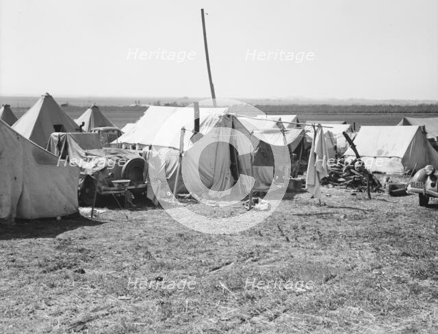 Contractors camp for pea pickers, Santa Clara Valley, 1939. Creator: Dorothea Lange.