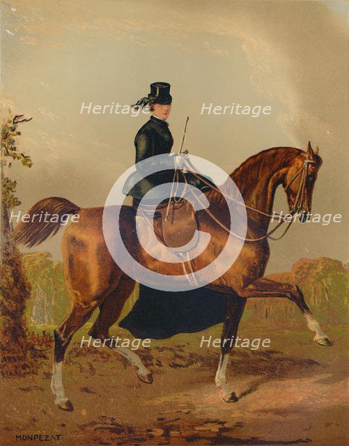 'A Ladies Horse - The Property of the Late Earl of Pembroke', c1840s, (c1879). Creator: Henri d'Ainecy Montpezat.