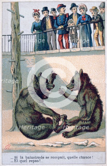 French zoological postcard, 19th century. Artist: Unknown