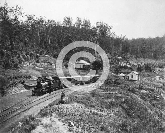Toowoomba Range Spring Bluff, c1891. Creator: Poul C Poulsen.