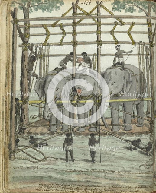 Taming an elephant, 1785. Creator: Jan Brandes.