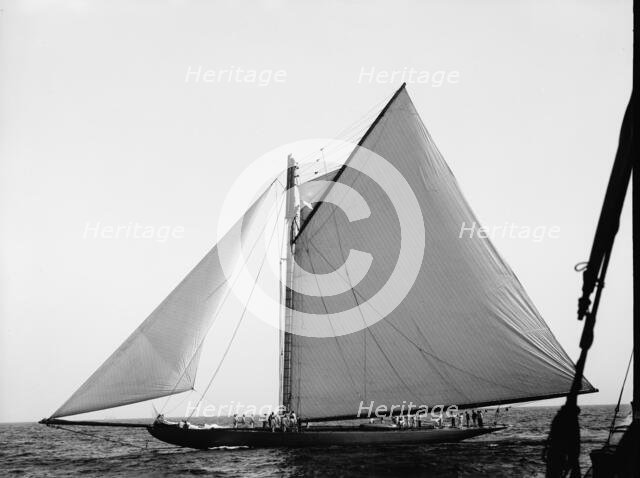 Shamrock, c1899. Creator: John S Johnston.