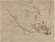 Clump of Trees at Civita Castellana, 1826. Creator: Jean-Baptiste-Camille Corot.