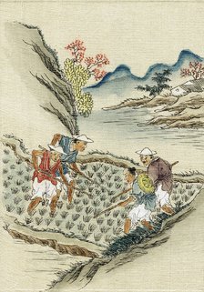 Workers cultivating rice in a paddy field, 19th century. Artist: Unknown