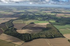 Sledmere House landscape park, East Riding of Yorkshire, 2023. Creator: Robyn Andrews.