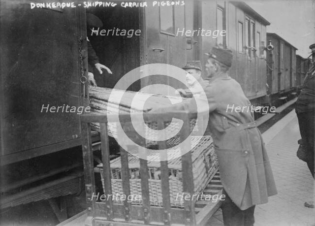 Donkerque [i.e., Dunkerque], shipping carrier pigeons, between c1914 and c1915. Creator: Bain News Service.
