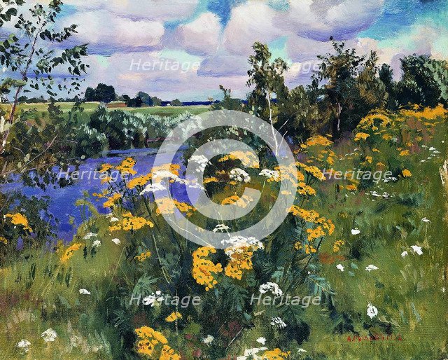 Field tansies, 1922. Artist: Rylov, Arkadi Alexandrovich (1870-1939)