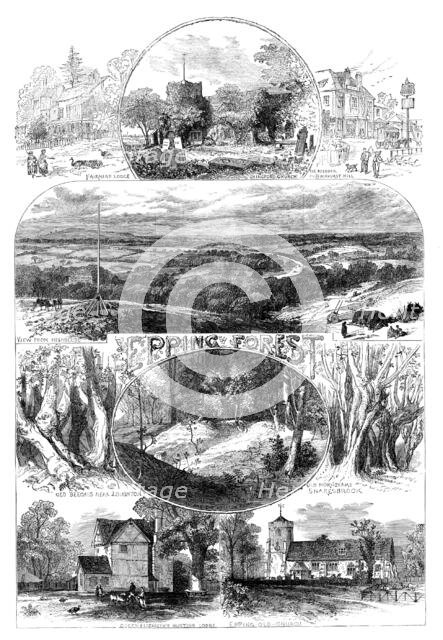 Sketches in Epping Forest, 1871. Creator: Unknown.