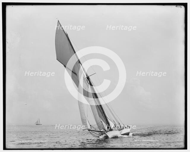 Alborak, 1891 July 16. Creator: Unknown.