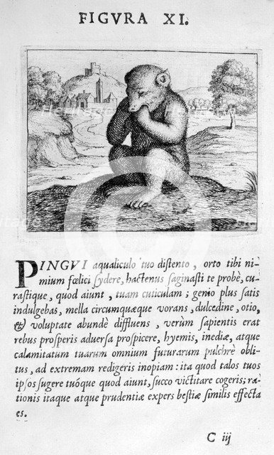 Prophecy figure XI from Prognosticatio Eximii Doctoris Paracelsi, 1536.  Artist: Theophrastus Bombastus von Hohenheim Paracelsus