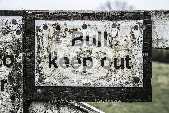 Byland Abbey, Byland, Byland with Wass, Ryedale, North Yorkshire, 2020. Creator: Alun Bull.