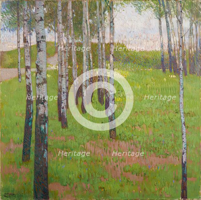 Birch grove in the evening light, 1902. Creator: Carl Moll.