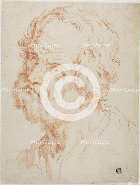 Male Head, n.d. Creator: Unknown.