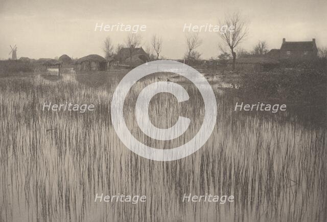 A Rushy Shore, 1886. Creator: Dr Peter Henry Emerson.
