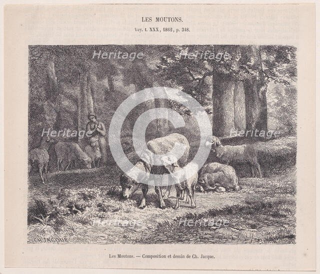 Les Moutons; from Magasin Pittoresque, 1862. Creator: François Rouget.