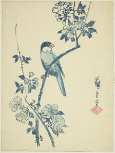 Java sparrow on cherry branch, c. 1830/44. Creator: Ando Hiroshige.