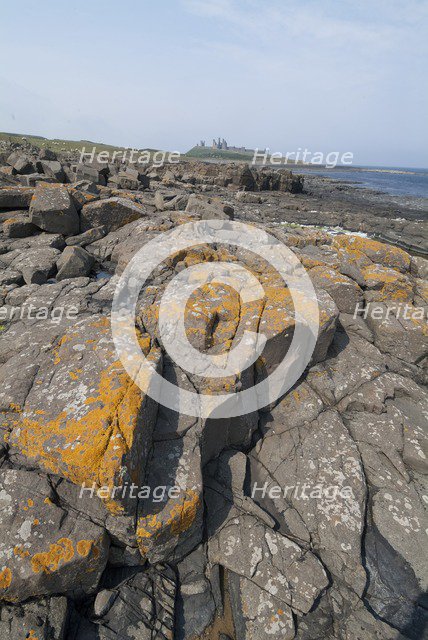 Dunstanburgh, 2006. Creator: Ethel Davies.