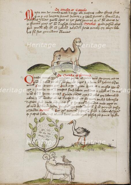 A Camel with a Fly on its Back: Insects in a Vineyard and a Stork..., third quarter of 15th century. Creator: Unknown.