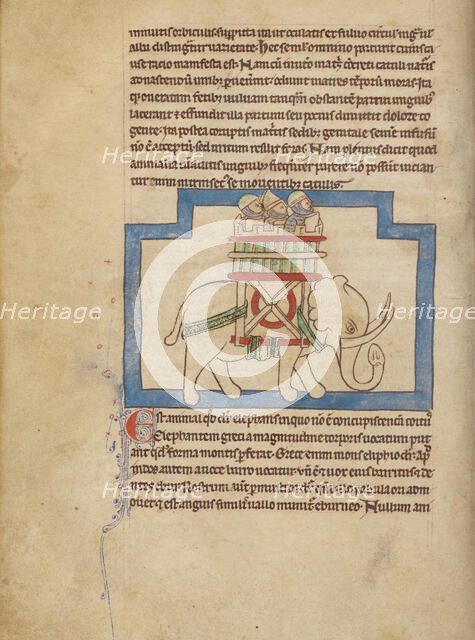 An Elephant; Northumberland Bestiary, about 1250-1260. Creator: Unknown.