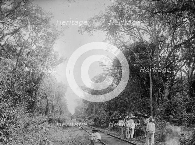 Train in the Cafetal of Temasopa (i.e. Tamasopo), between 1880 and 1897. Creator: William H. Jackson.