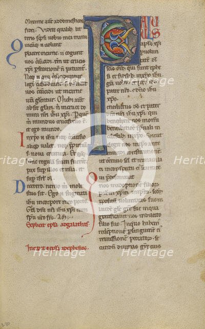 Decorated Initial P; New Testament, late 12th century. Creator: Unknown.